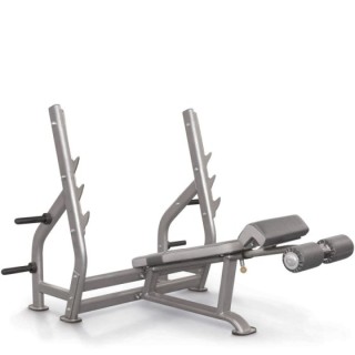 Decline Bench Impulse IT7016 Ασημί