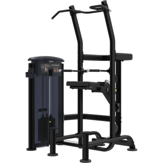 Weight Assisted Chin / Dip...