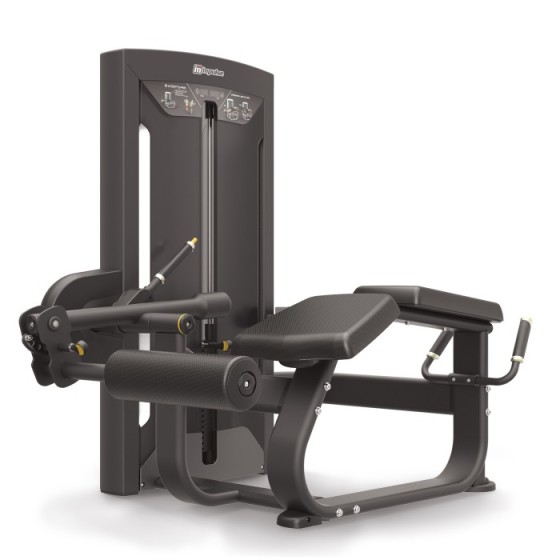 Prone Leg Curl Impulse...