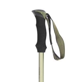 Trekking Pole Set Explorer