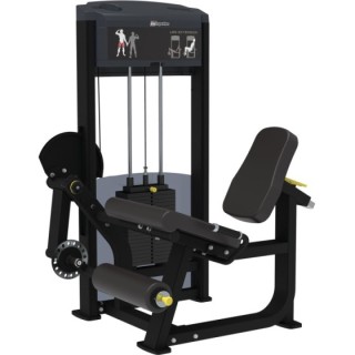 Leg Extension Impulse IF9305