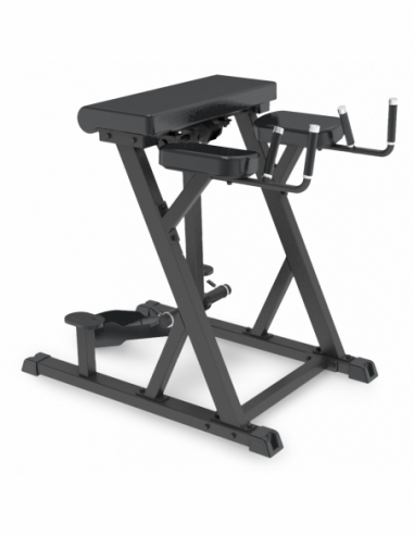 Reverse Hyperextension Impulse IFP1619