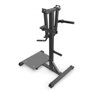 Standing Lateral Raise Impulse IFP1103