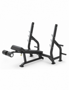 Decline Bench Impulse...