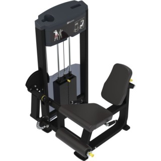 Leg Extension Impulse IF9305