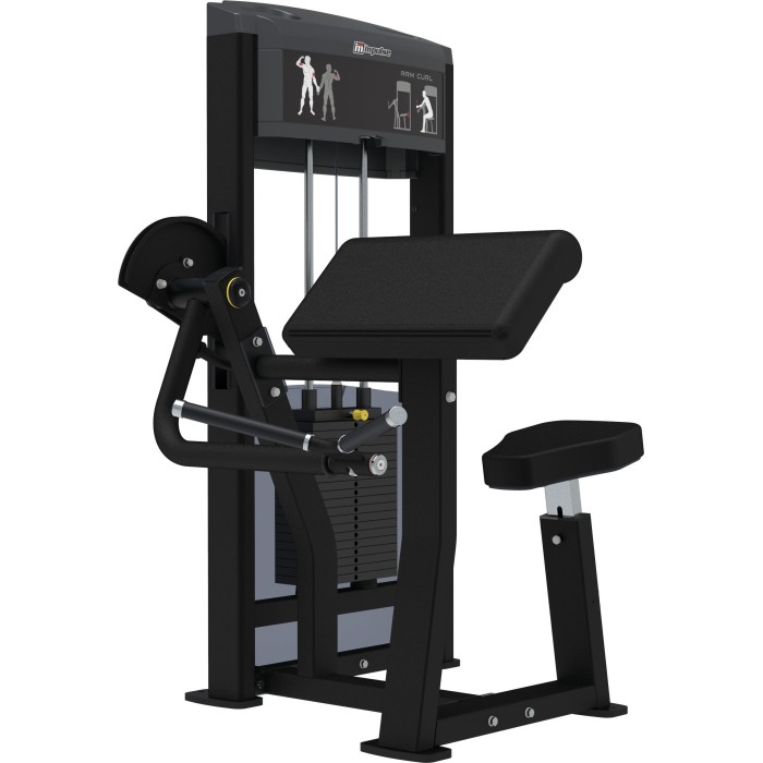 Arm Curl Impulse IF9303