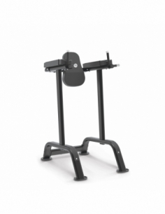 Vertical Knee Raise / Dip...