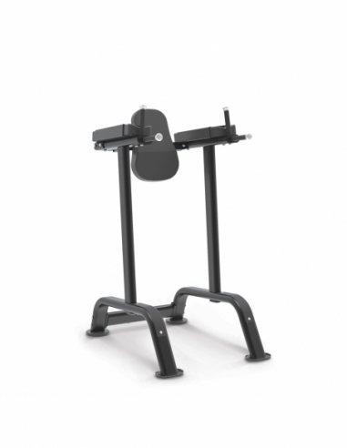 Vertical Knee Raise / Dip Stand...