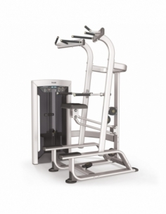 Weight Assisted Chin / Dip...