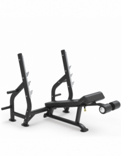 Decline Bench Impulse...
