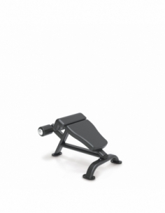 Abdominal Bench Impulse...