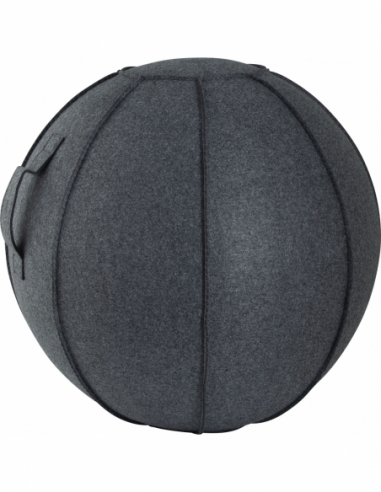 Κάλυμμα για Μπάλα Γυμναστικής AMILA GYMBALL 75cm Κάλυμμα για Μπάλα Γυμναστικής AMILA GYMBALL 75cm