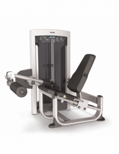 Leg Extension Impulse...