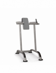 Vertical Knee Raise / Dip...