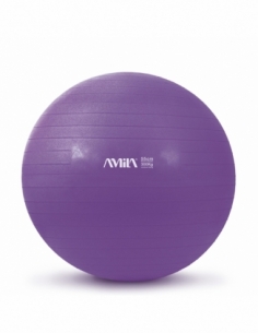 GymBall 55 cm Μώβ