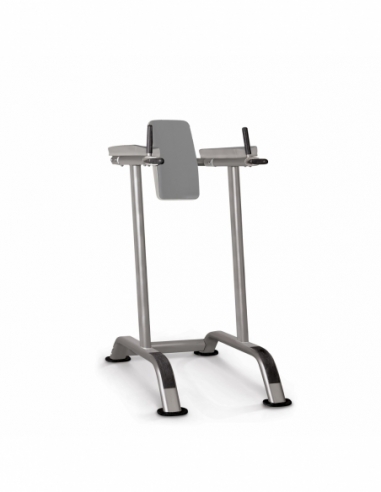 Vertical Knee Raise / Dip Stand...