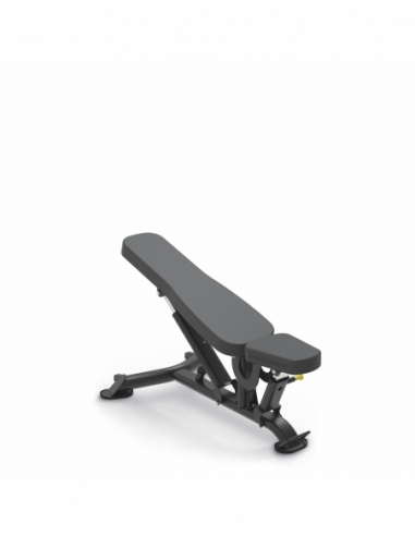Multi-Adjustable Bench Impulse IT7011...