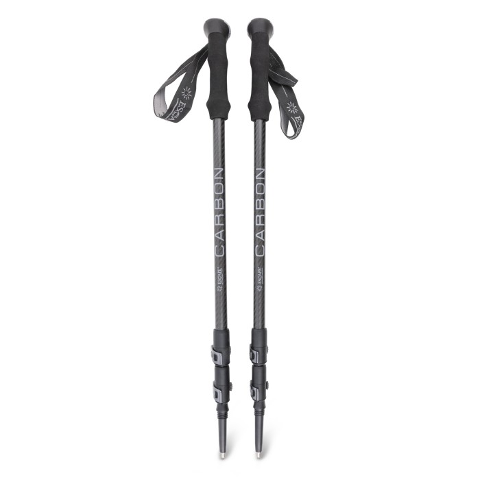 Trekking Pole Set Endura Carbon