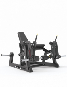 Seated Leg Extension...