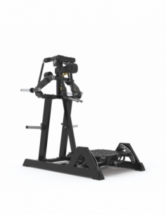 Standing Lateral Raise...