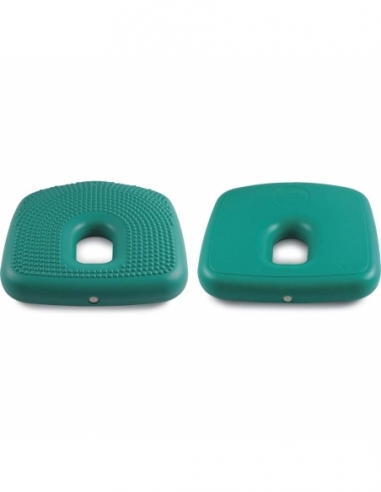 Hemorrhoids Cushion Hemorrhoids Cushion