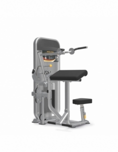 Biceps/Triceps Impulse...