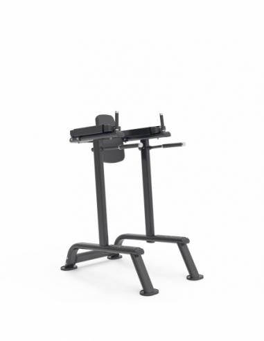 Knee Raise Impulse ITF8701