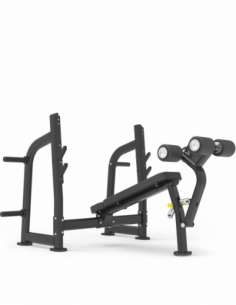 Olympic Decline Bench...