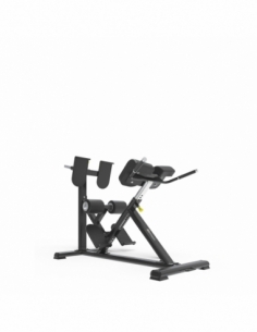 Adjustable Back Extension...