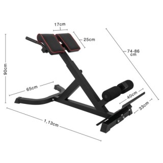 Πάγκος Γυμναστικής Ραχιαίων AMILA BE600