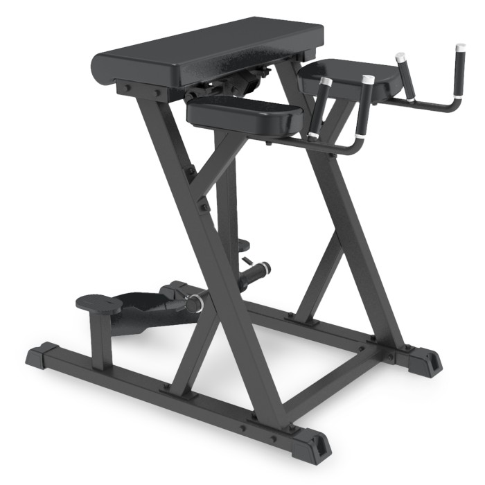 Reverse Hyperextension Impulse IFP1619