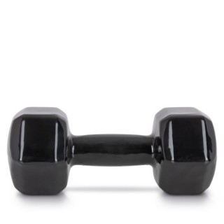 AMILA Vinyl Dumbbell 10Kg