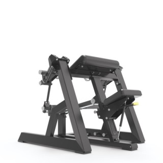 Seated Biceps Impulse ECP501