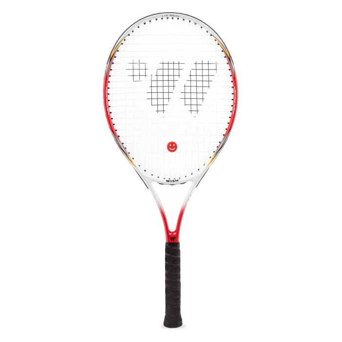 Ρακέτα Tennis Wish Fusiontec 300 Γραφίτη/ Αλουμινίου
