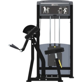 Arm Curl Impulse IF9303