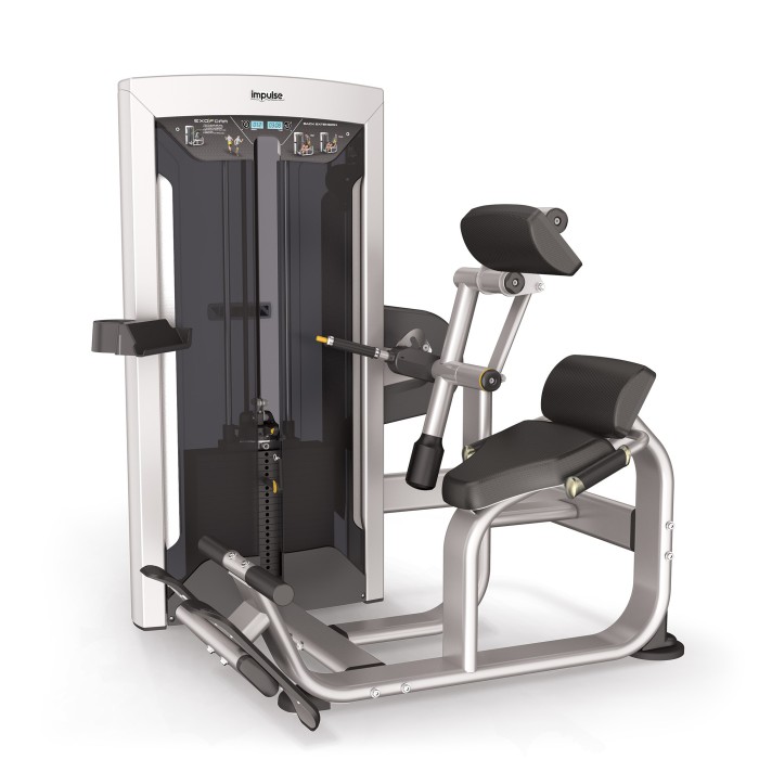 Back Extension Impulse FE9732 Ασημί