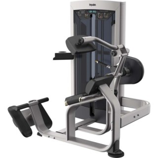 Back Extension Impulse FE9732 Ασημί