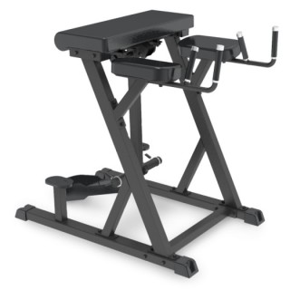 Reverse Hyperextension Impulse IFP1619