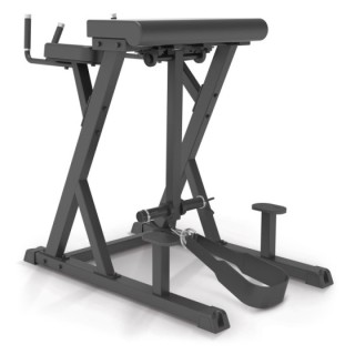 Reverse Hyperextension Impulse IFP1619