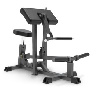 Bicep Curl Impulse IFP1501