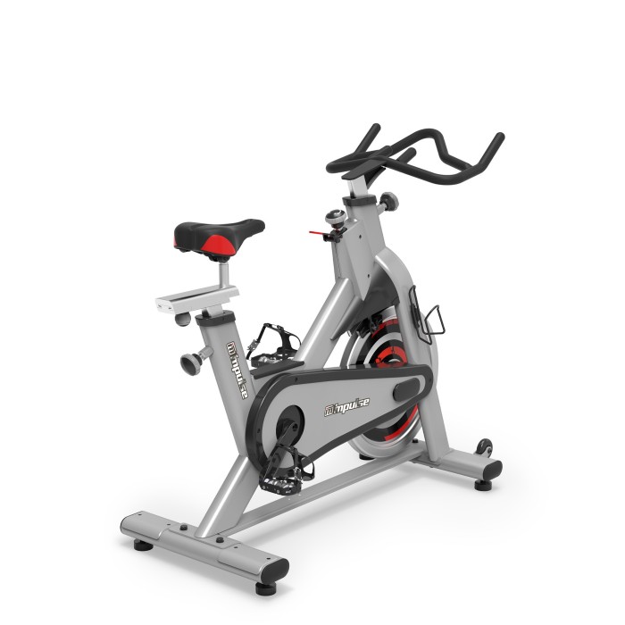 Ποδήλατο Spinning Impulse PS300E Ασημί