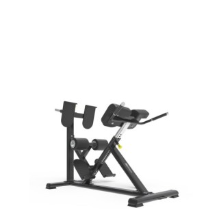 Adjustable Back Extension Bench ITF8402