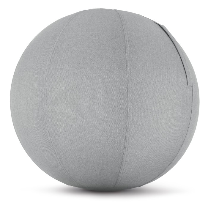 Κάλυμμα Μπάλας Γυμναστικής 75cm - Γκρι