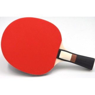 Ρακέτα Ping Pong Sunflex Atomic C15