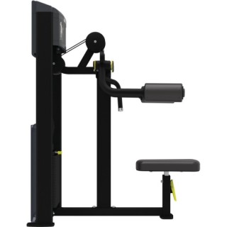 Lateral Raise Impulse IF9324