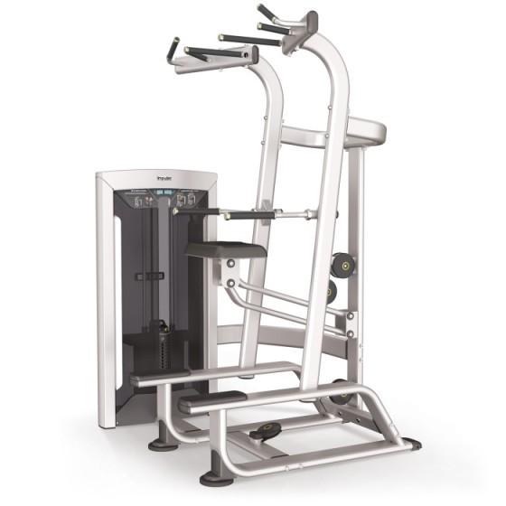 Weight Assisted Chin / Dip...