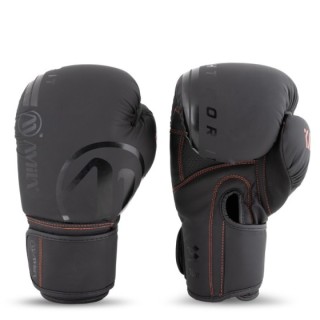 Γάντια Πυγμαχίας AMILA KAOS 10oz