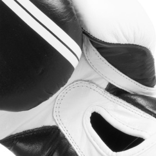 Γάντια Πυγμαχίας AMILA RE-BORN 10oz