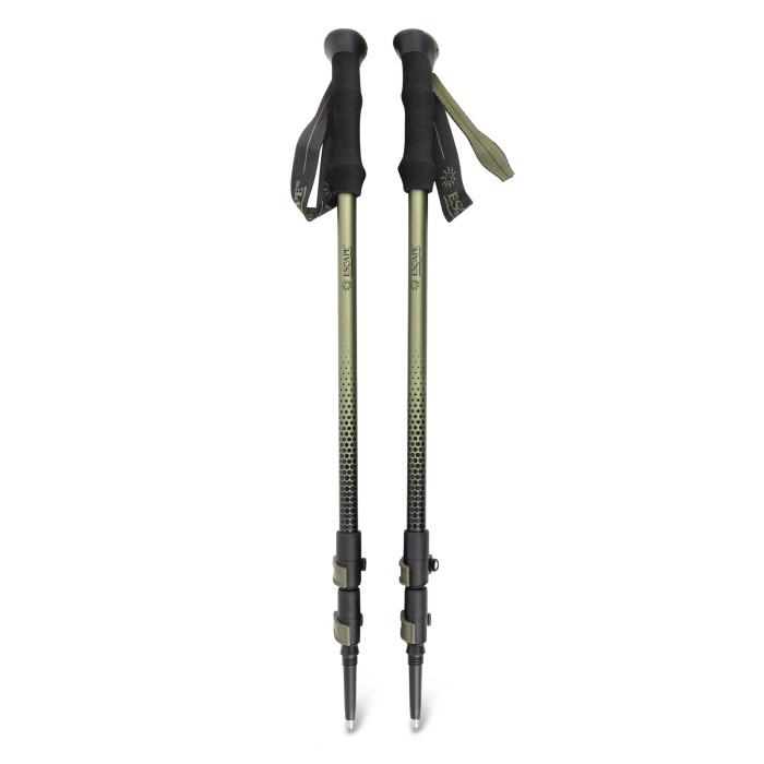 Trekking Pole Set Explorer