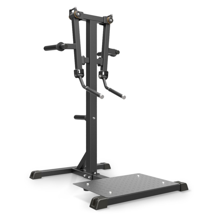 Standing Lateral Raise Impulse IFP1103